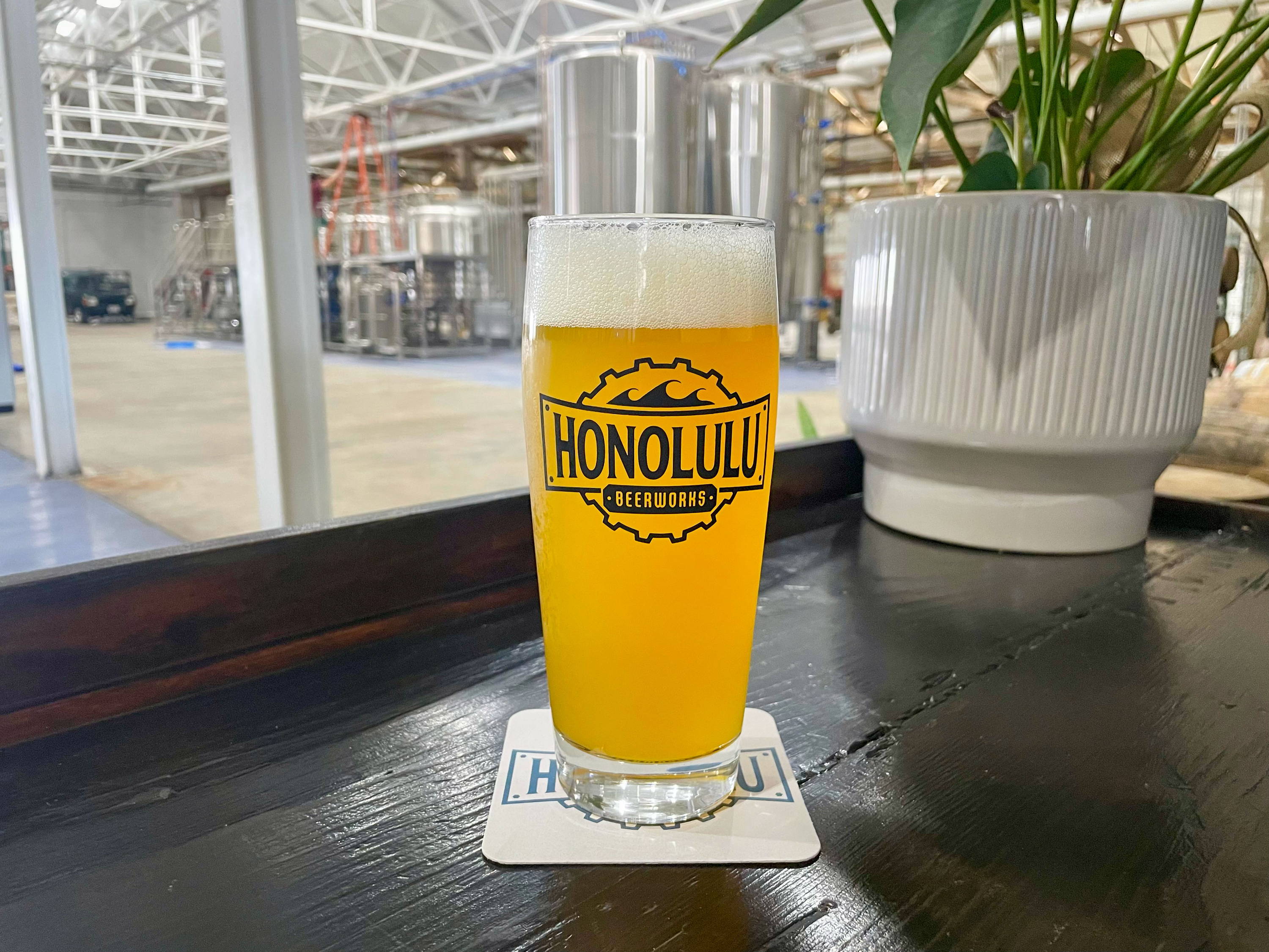 果物 cocolapi Japanese BEER - 2022 – Honolulu Beerworks